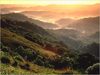 El Yunque Rainforest, Puerto Rico.jpg [374622 octets]